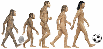 Hominins